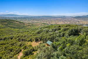 Bird's eye view of a mountainous background and a forest