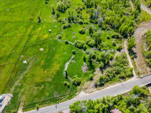 Drone / aerial view of a tree filled landscape