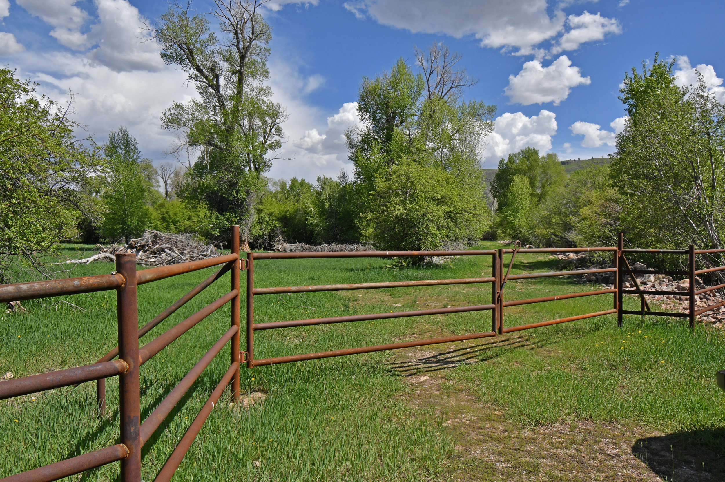 View of gate