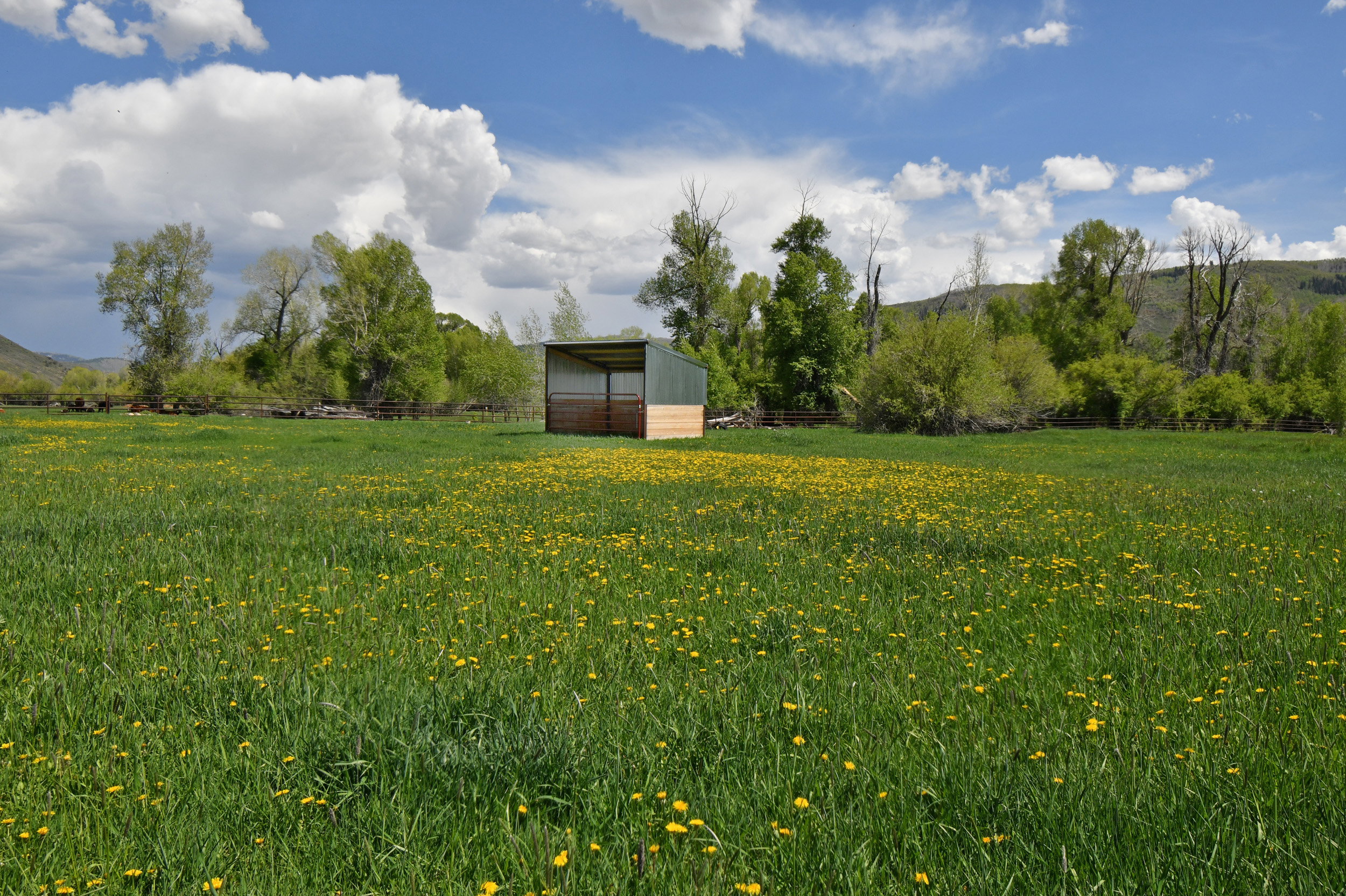 View of yard featuring a view of rural / pastoral area, an outdoor structure, a pole building, and a mountain view