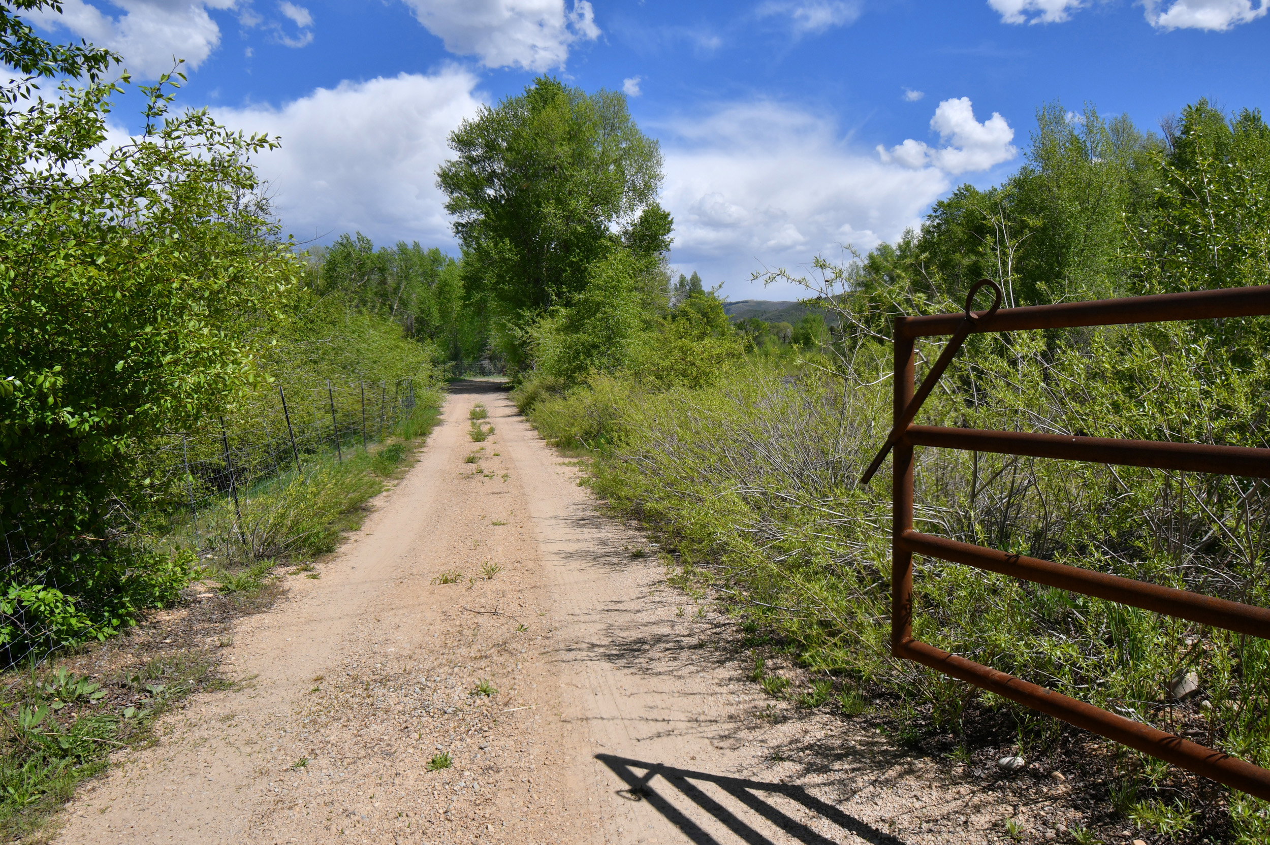 View of dirt / gravel road