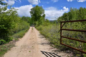 View of dirt / gravel road