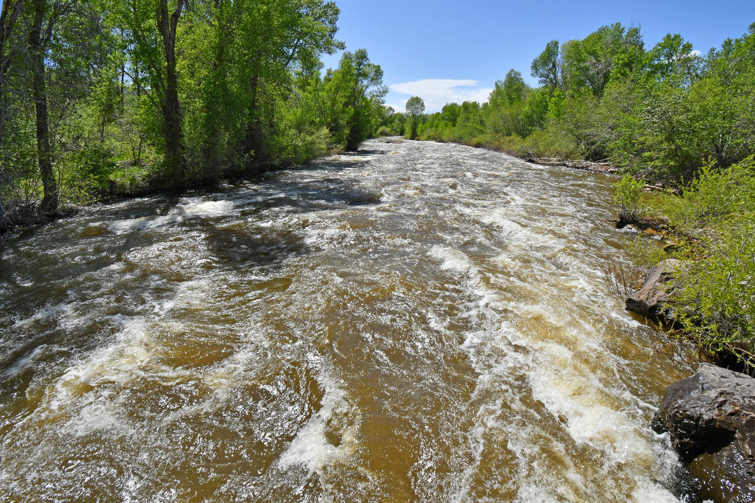 View of local wilderness with a large body of water
