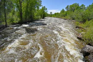View of local wilderness with a large body of water