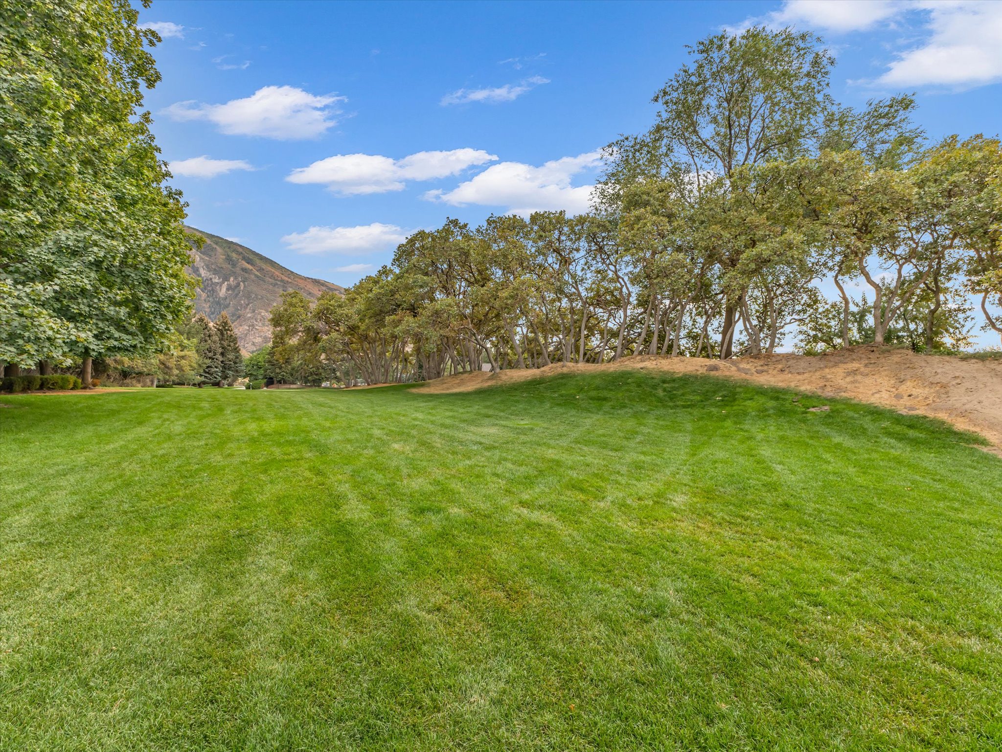 Expansive green lawn with mature trees and a prominent mountain backdrop