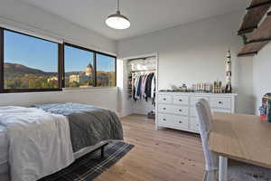 Bedroom featuring light wood-style floors, a mountain view, and a walk in closet