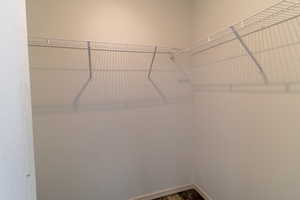 Walk in closet featuring dark wood-type flooring
