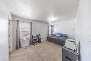 Bedroom featuring multiple windows, light colored carpet, and a textured ceiling