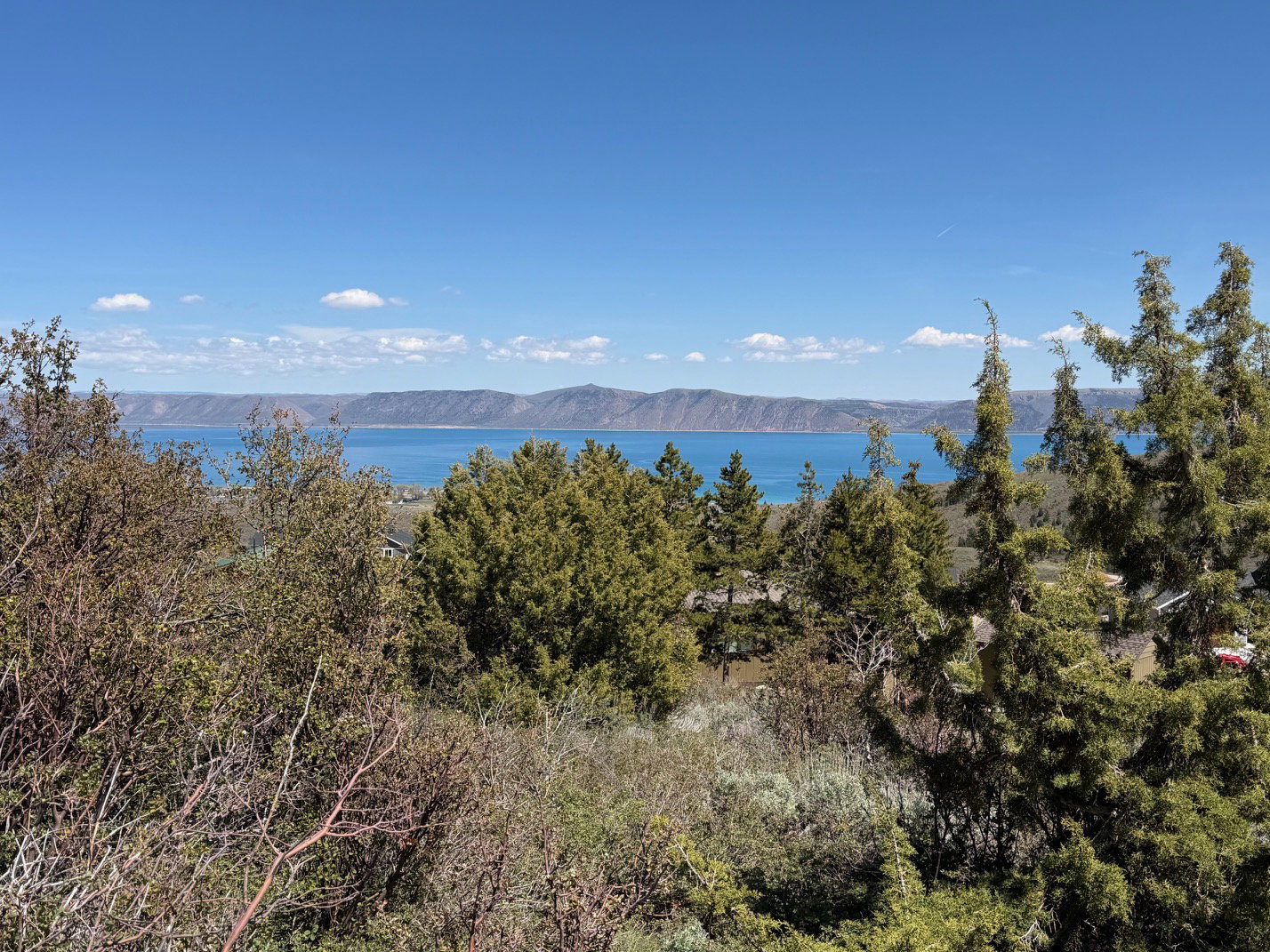 Water view featuring a mountainous background