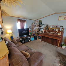 Carpeted living area with lofted ceiling