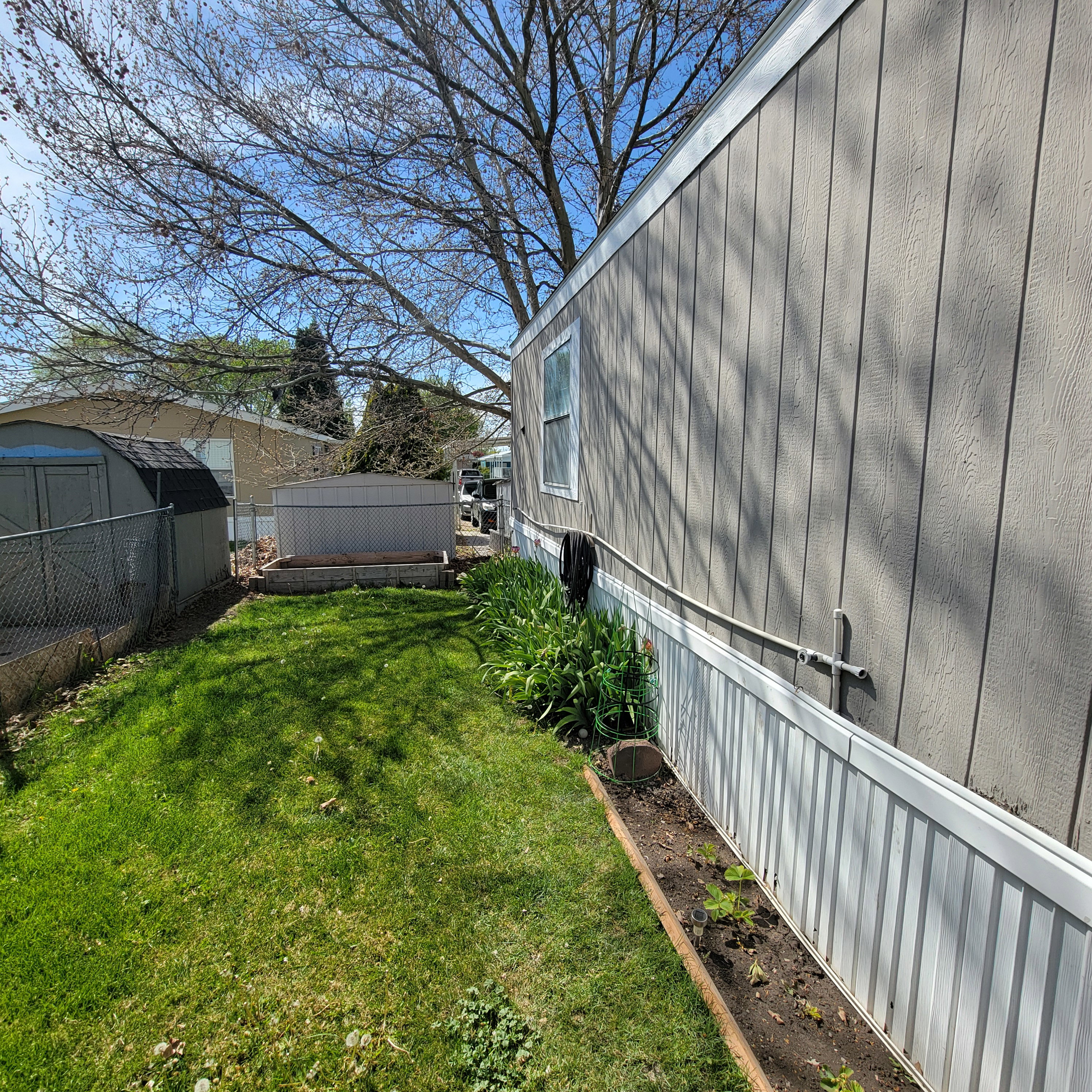 Fenced yard with a shed