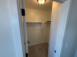 Walk in closet with dark colored carpet