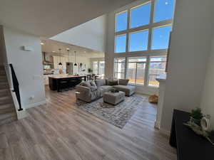 Living room with light wood-type flooring and a high ceiling