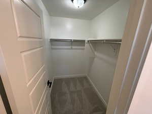 Walk in closet featuring carpet flooring