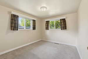 Carpeted spare room featuring plenty of natural light