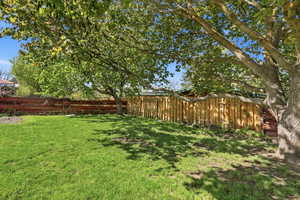 View of fenced yard