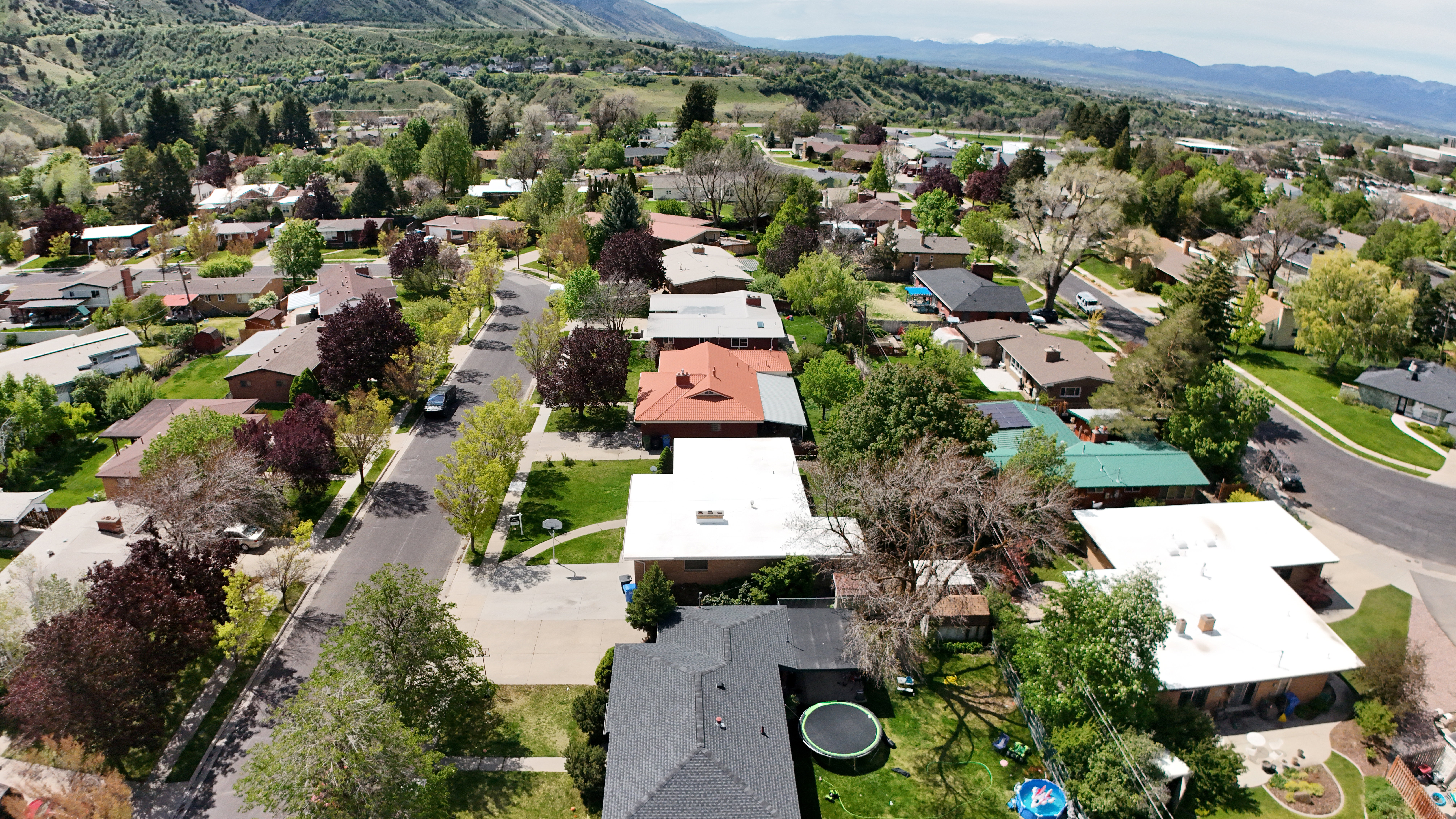 Residential street lined with mature trees, established landscaping, and varied rooflines
