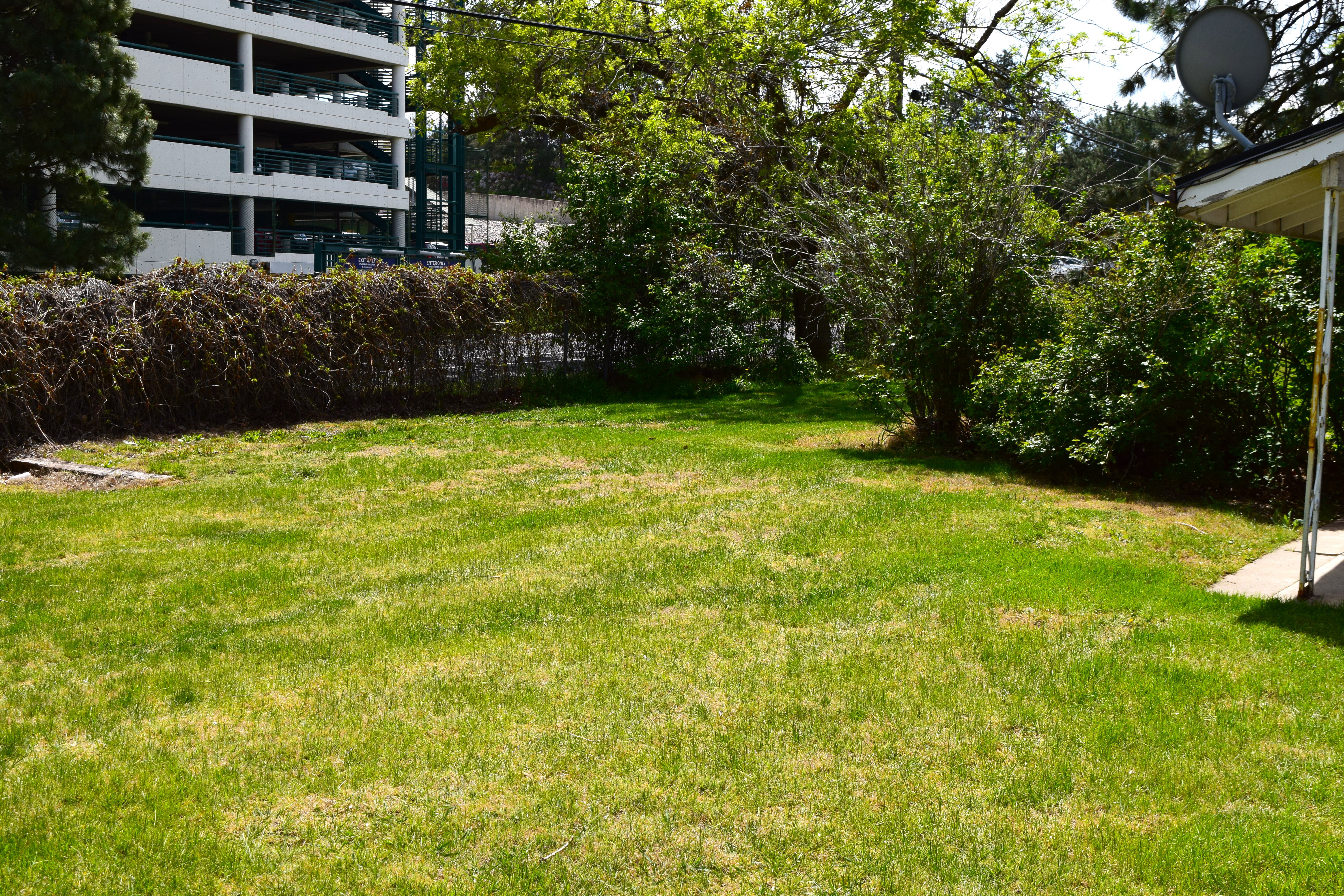 View of green lawn