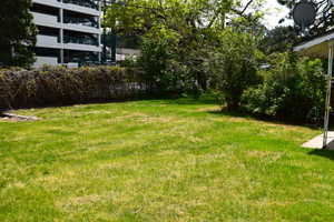View of green lawn