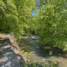 View of local wilderness featuring a nearby body of water