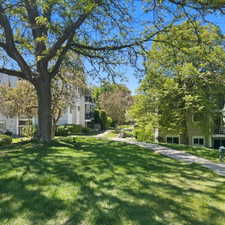 View of grassy yard