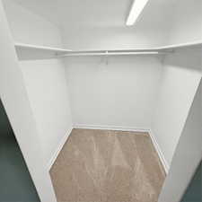 Walk in closet with carpet flooring