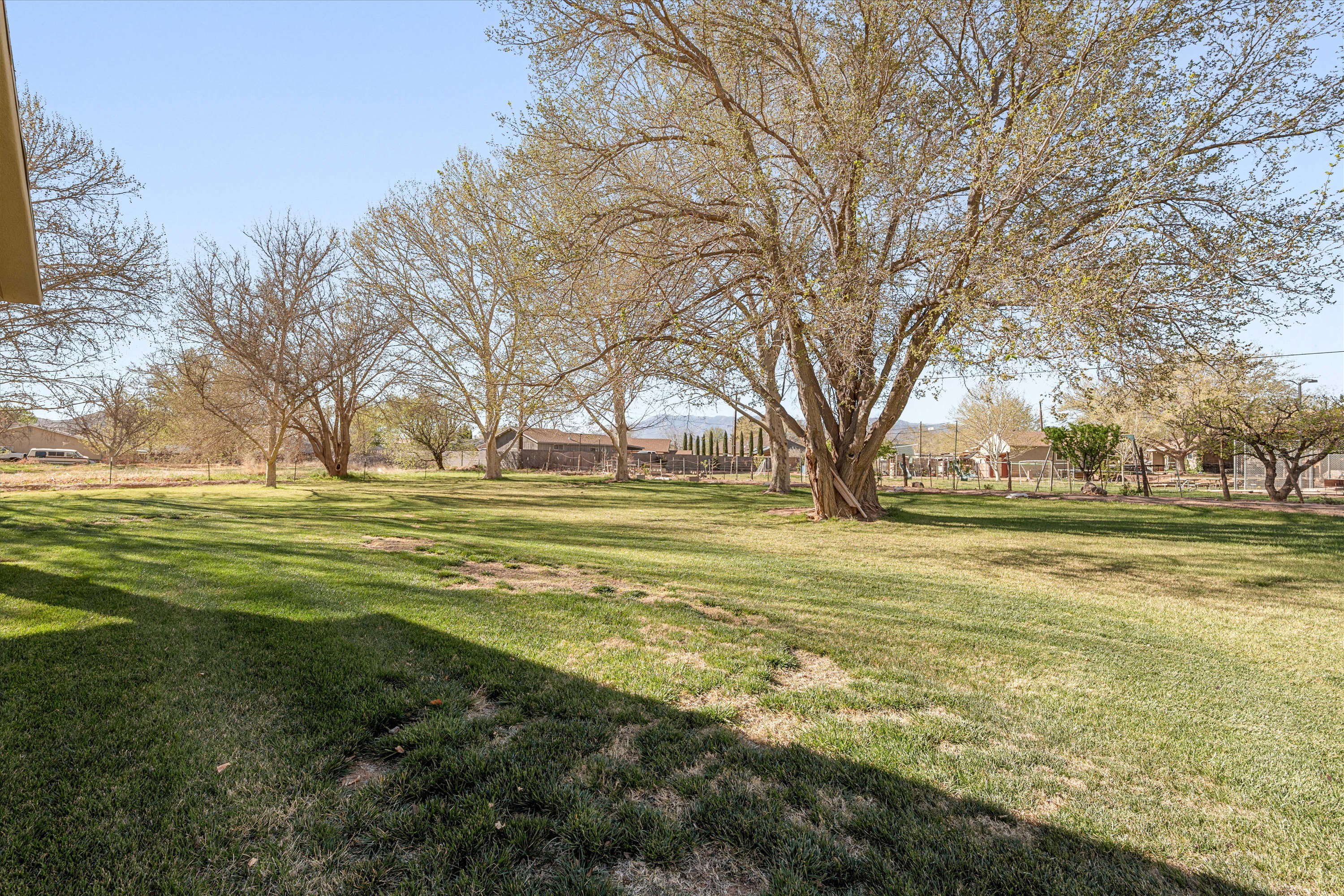 View of grassy yard