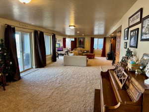 Lower level living room with lsliding glass door to patio with lake view
