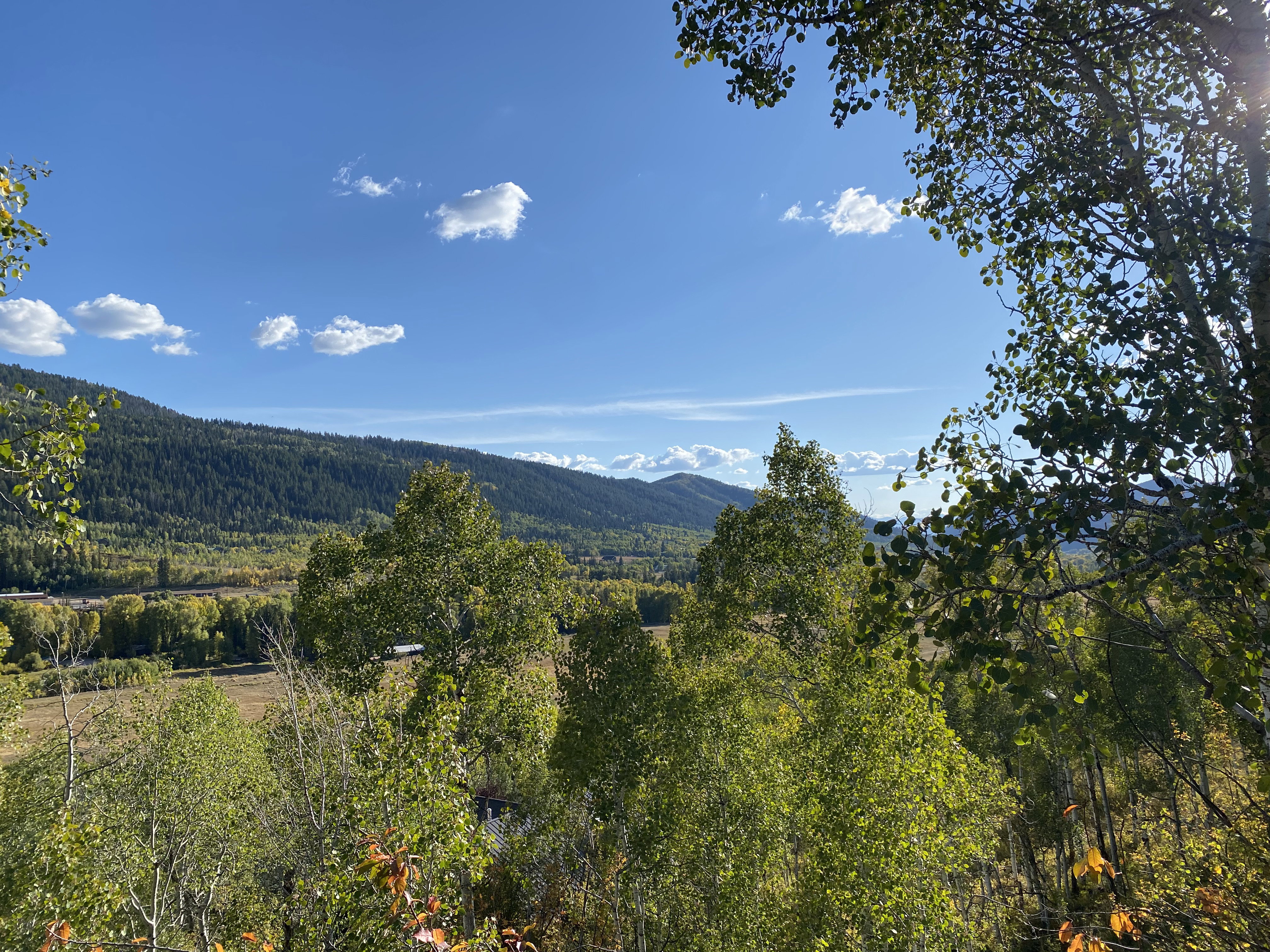 View of mountain backdrop with a forest