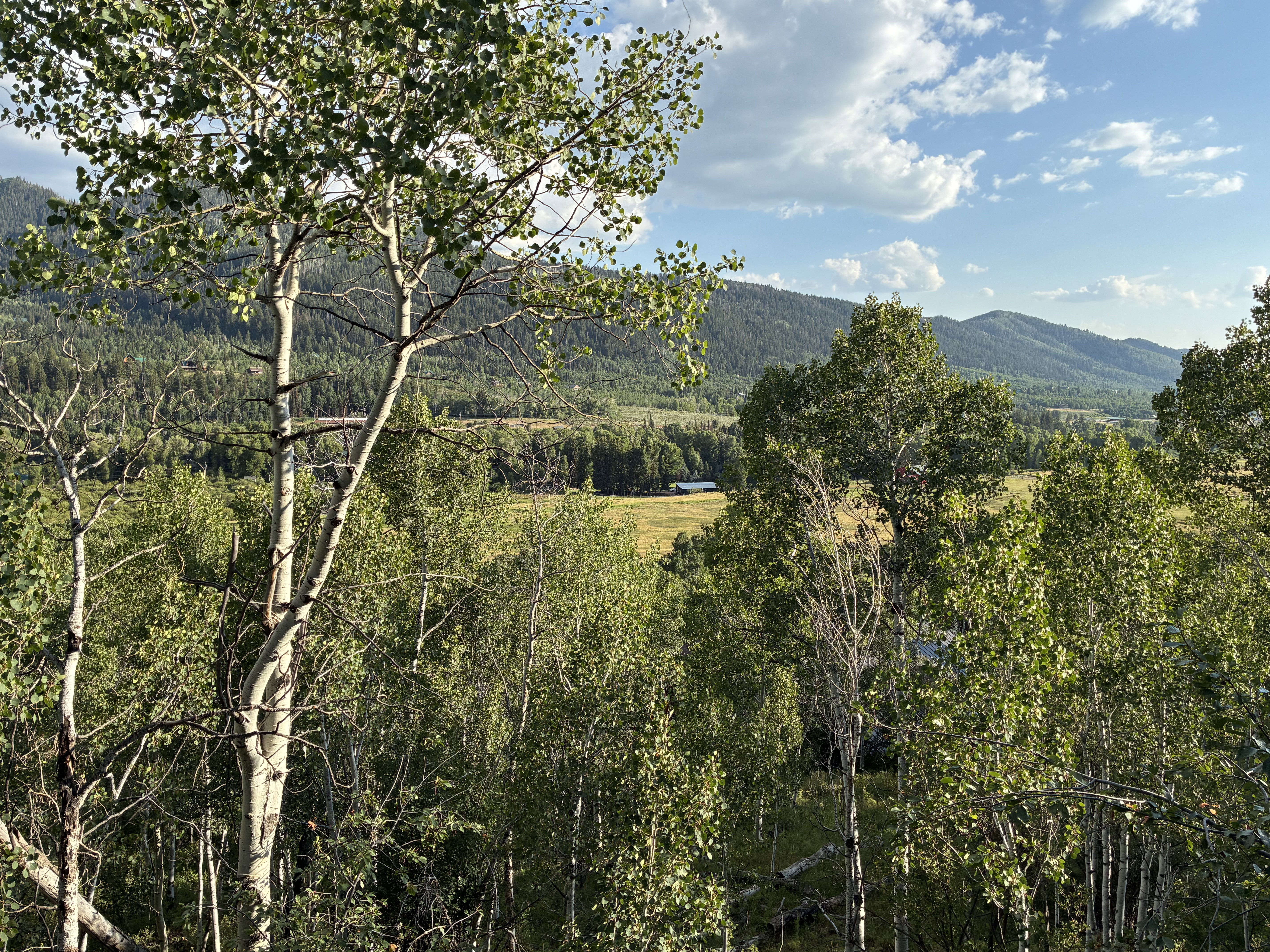 Vast views on back deck.