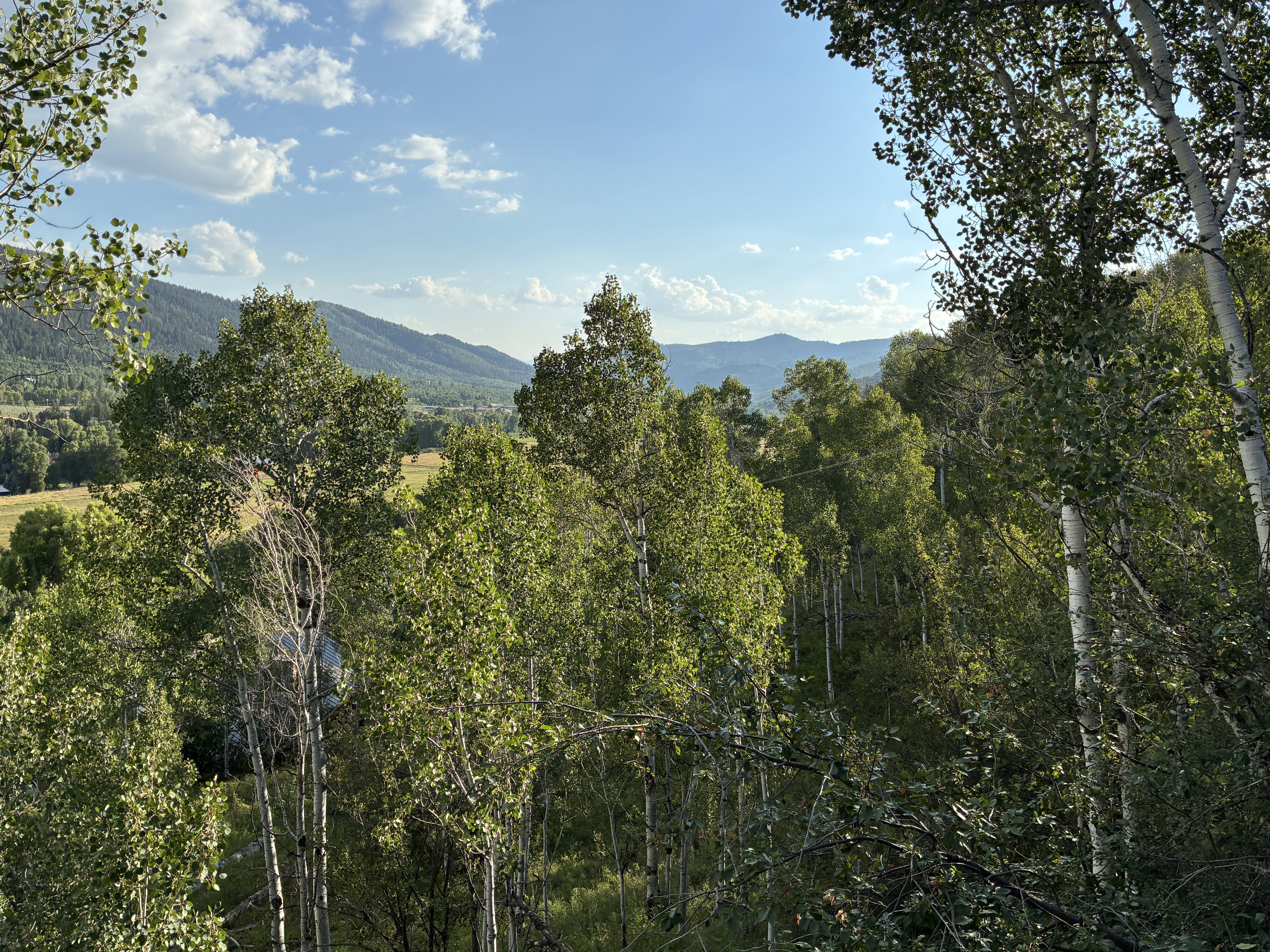 View of mountain backdrop featuring a forest