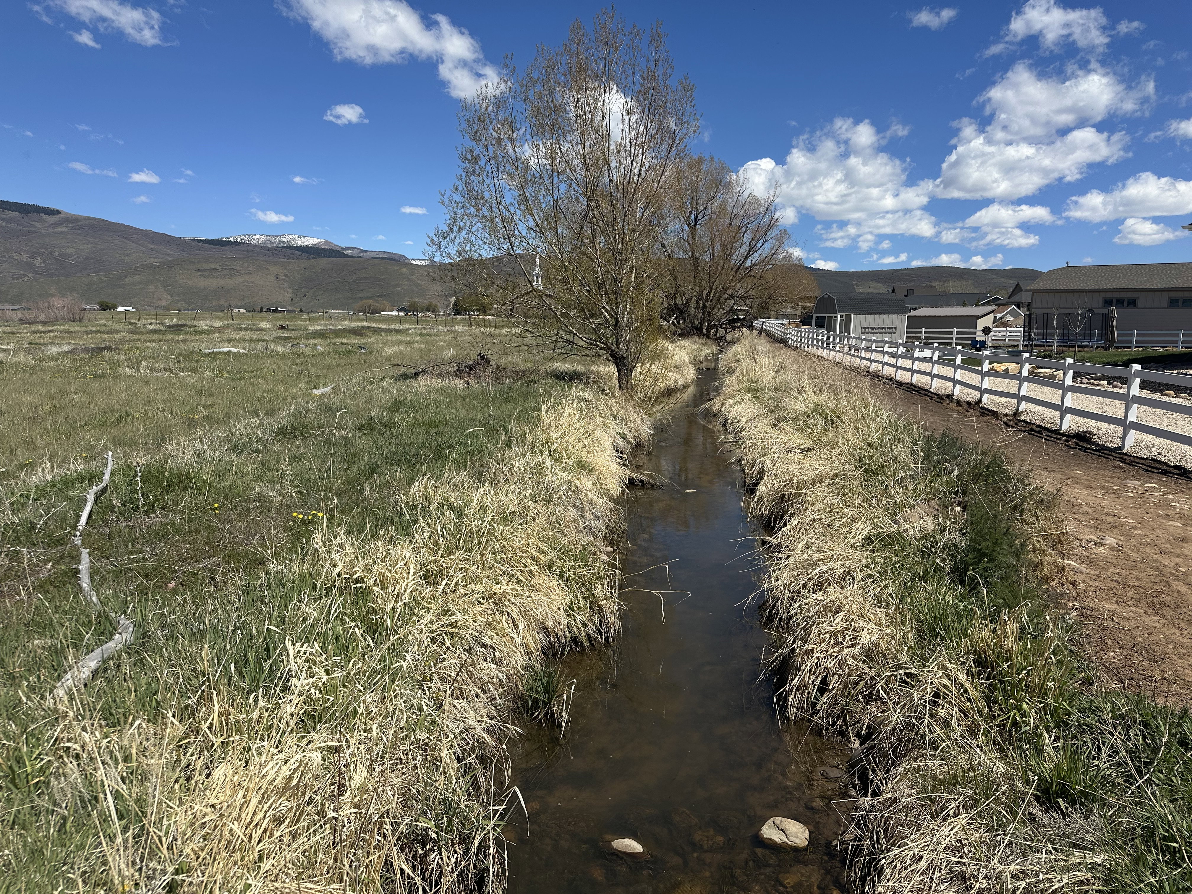 View of yard with a water and mountain view