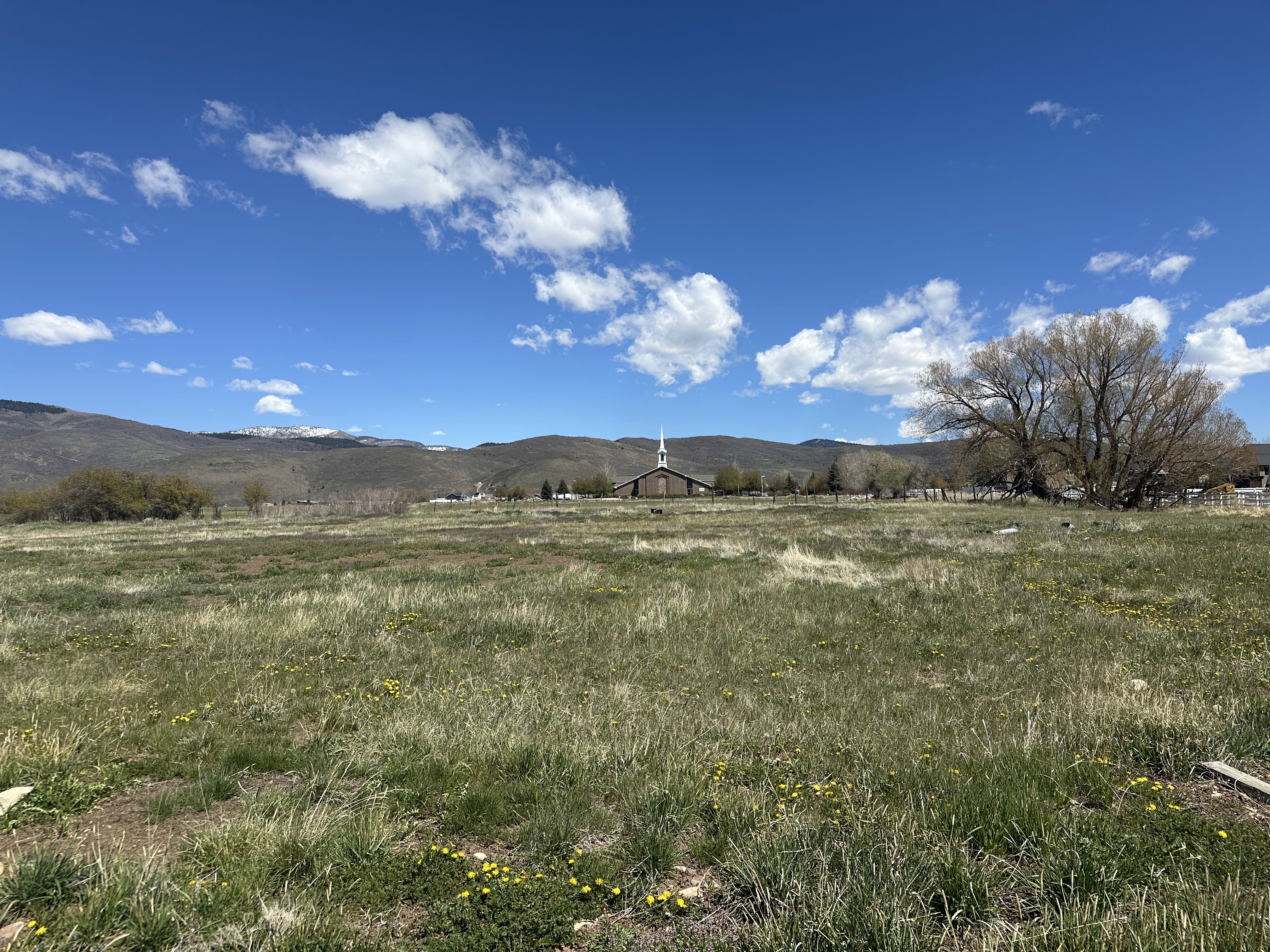 Mountain view featuring rural landscape
