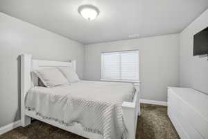 Lower level bedroom