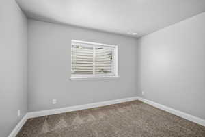 Lower level bedroom