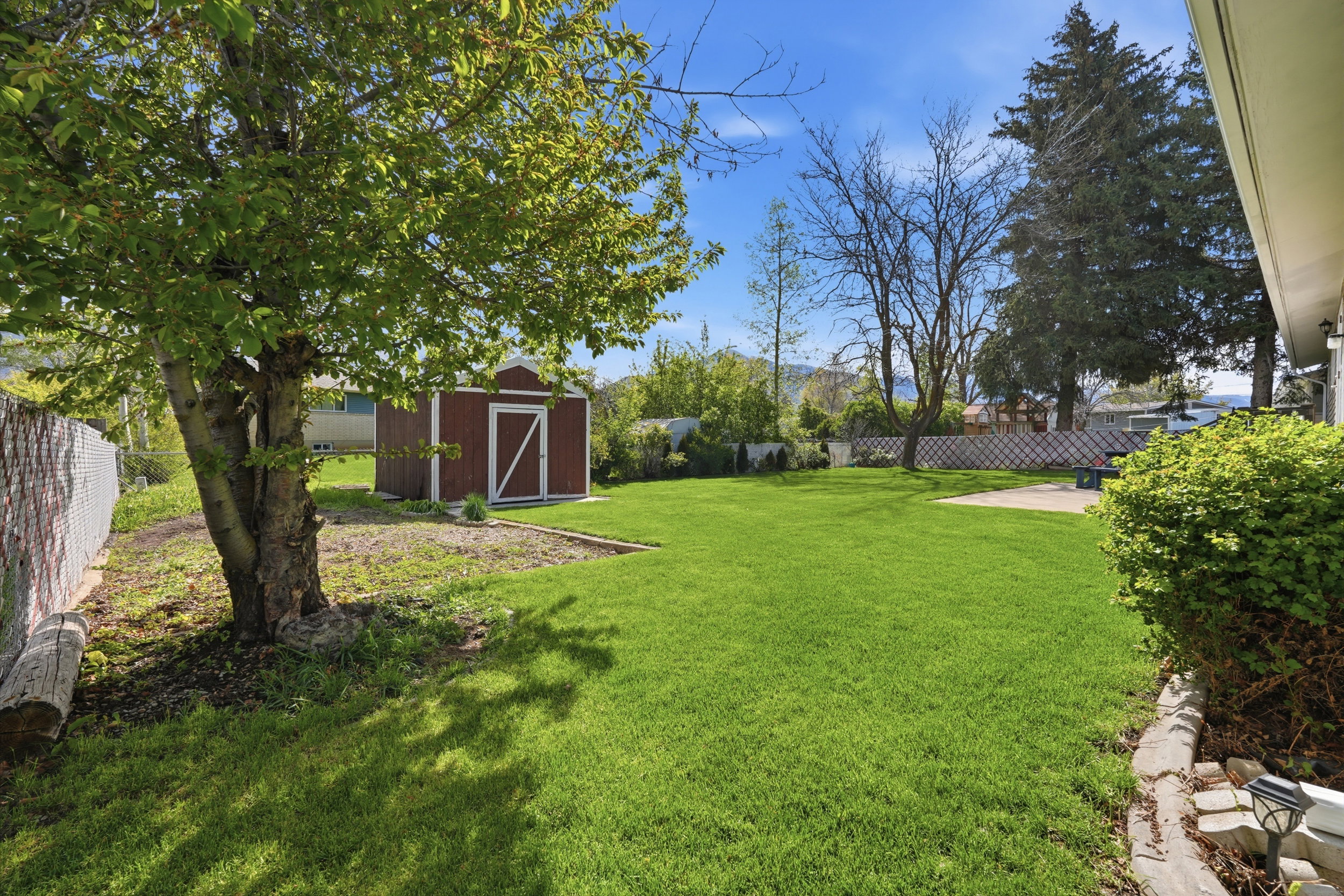 Fenced backyard with a shed