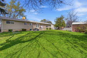 Back of property featuring a patio and a storage unit