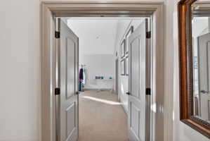 Dual panel doors with dark hardware open into a carpeted hallway