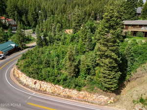 Drone / aerial view of a forest