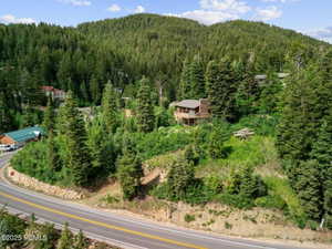Drone / aerial view of a forest