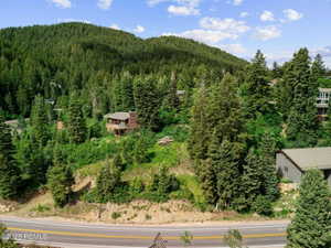 View of mountain background with a heavily wooded area