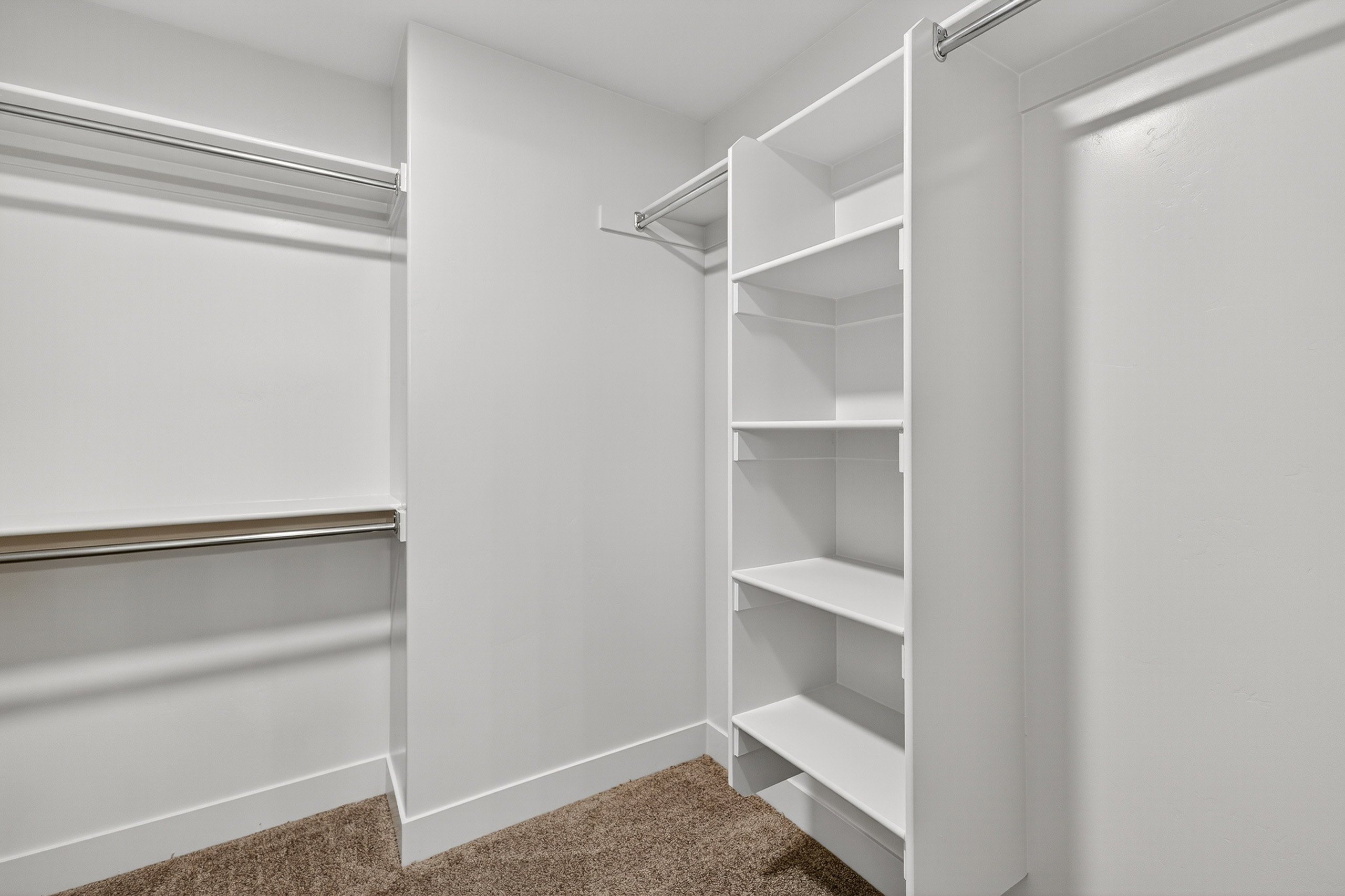 Walk in closet with carpet floors