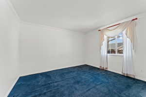 Empty room featuring crown molding and dark carpet