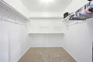 Walk in closet featuring light colored carpet