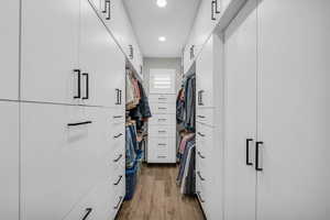 Walk in closet featuring light wood finished floors