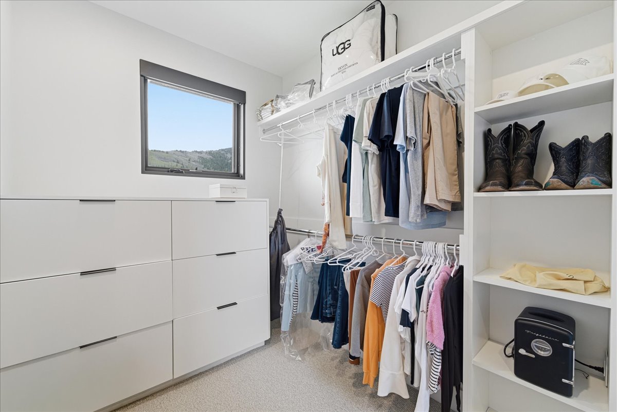 Walk in closet with light colored carpet