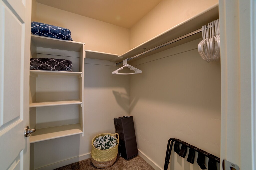 Walk in closet with dark colored carpet