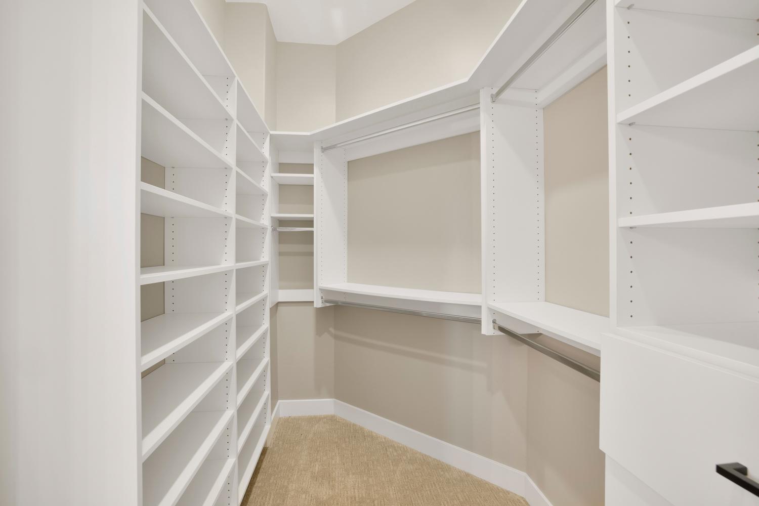 Walk in closet featuring light colored carpet