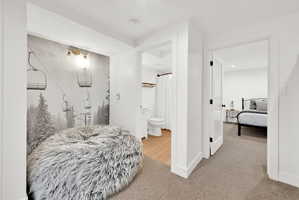 Downstairs living room with carpet, flexible occupancy space, full bathroom, nook for various functions.