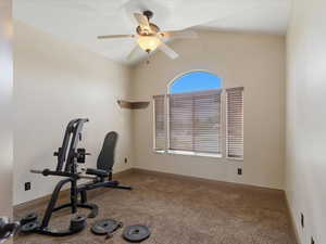 Carpeted room featuring a ceiling fan with integrated lighting, a large arched window with horizontal blinds, and a decorative corner shelf